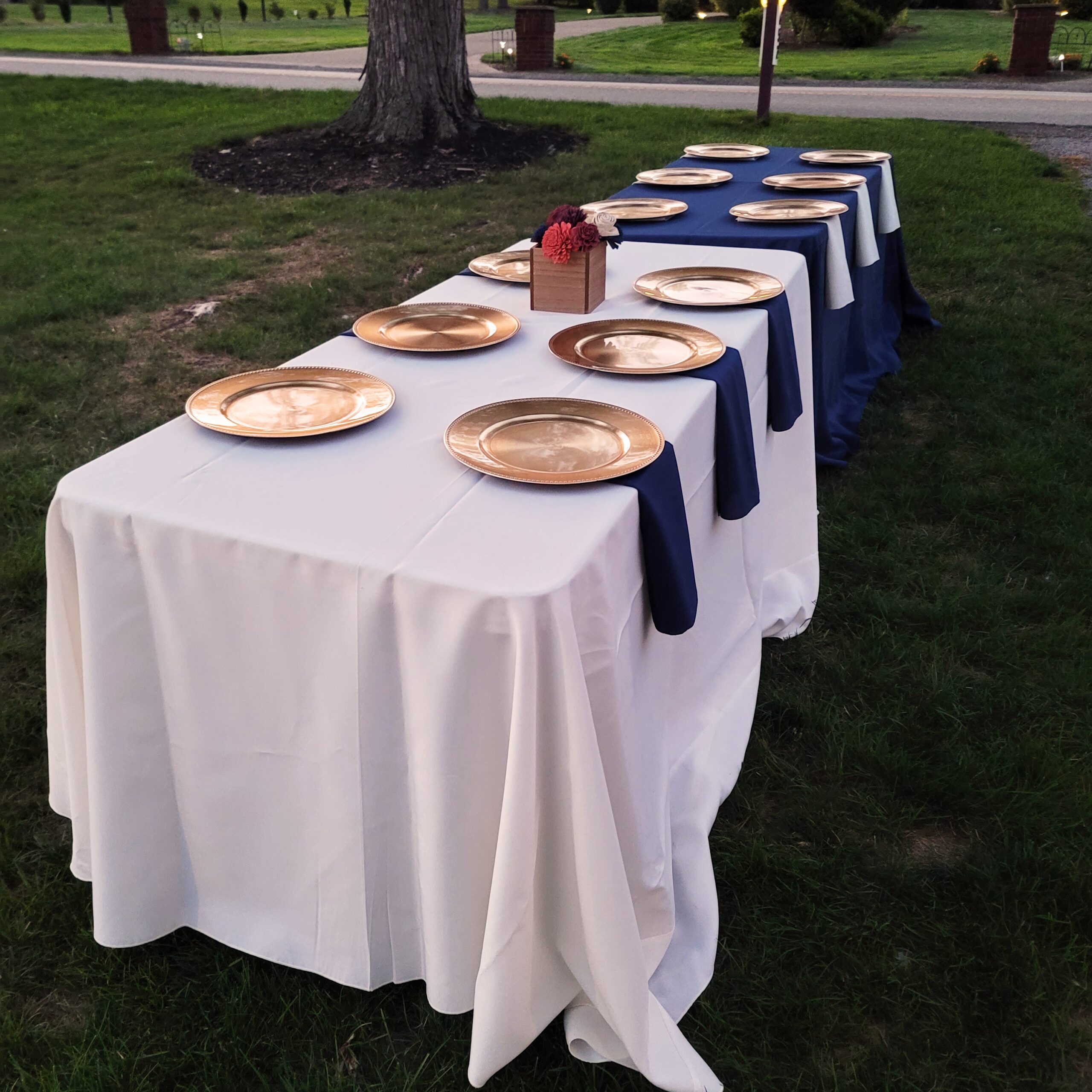 a long table with plates on it in the grass