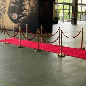 Gold Stanchions