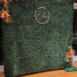 Boxwood Greenery Backdrop