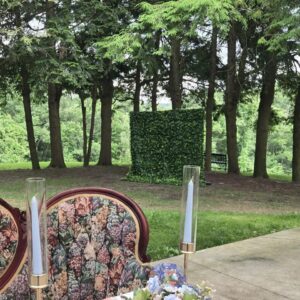 Boxwood Greenery Backdrop Wild Variant