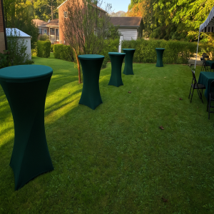a lawn with tables and chairs in the middle of it
