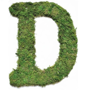 the letter d is made up of grass