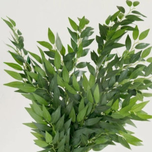 Ruscus greenery styling used as an elegant table accent for a wedding or event in Pittsburgh